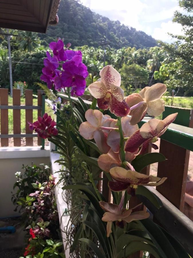 Orchid Pool -Villa 4 Bedrooms Koh Lanta Ngoại thất bức ảnh